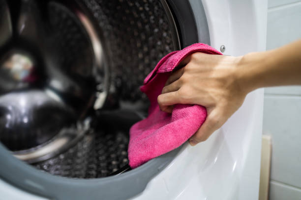 Best Mold Odor Removal Services  in Dayton, IN