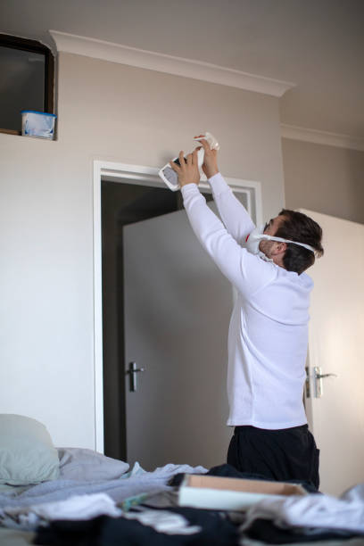 Best Mold Remediation for Healthcare Facilities  in Dayton, IN