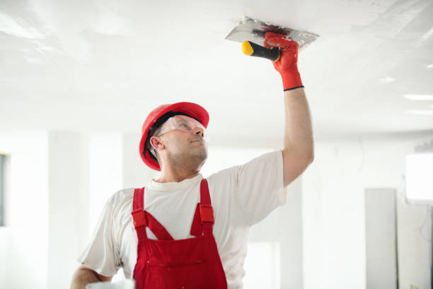 Best Real Estate Mold Inspection  in Dayton, IN