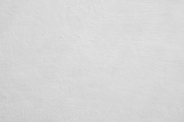 Best Commercial Mold Inspection  in Dayton, IN
