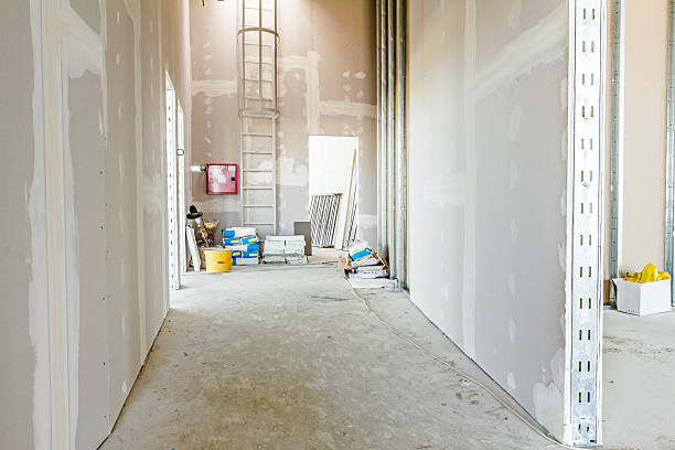 Best Mold-Related Health Consultation  in Dayton, IN