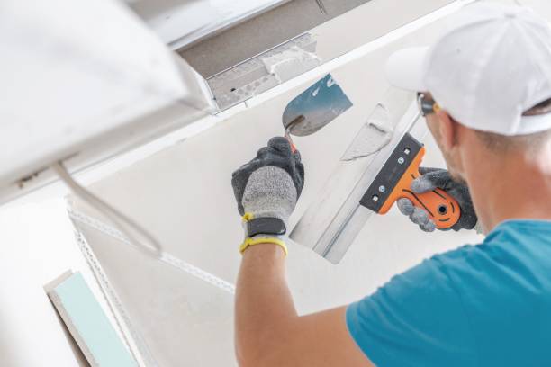 Best Commercial Mold Inspection  in Dayton, IN